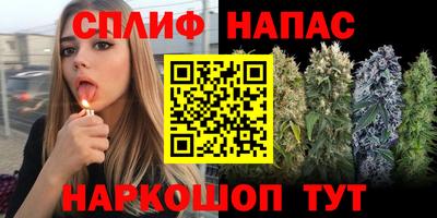 винт Пенза