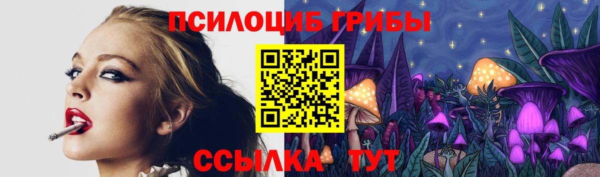 Псилоцибиновые грибы Cubensis  Галлюциногенные грибы мухоморы  Вход с VPN  Чернушка 